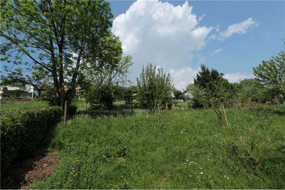 Residencial - Terreno Edificable - Ponte Cremenaga, Tessin - CH - 38 - 119001001-2879