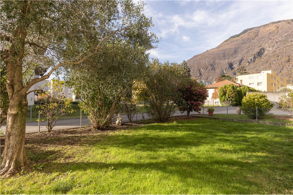 Wohnung - Kauf - Bellinzona, Tessin - 17 - 119291021-119