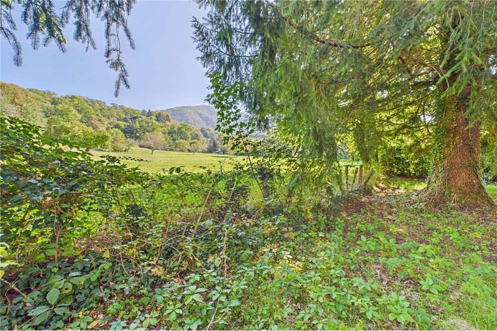 Prédio Habitacional - Terreno - Castelrotto, Tessin - CH - 39 - 119001091-58