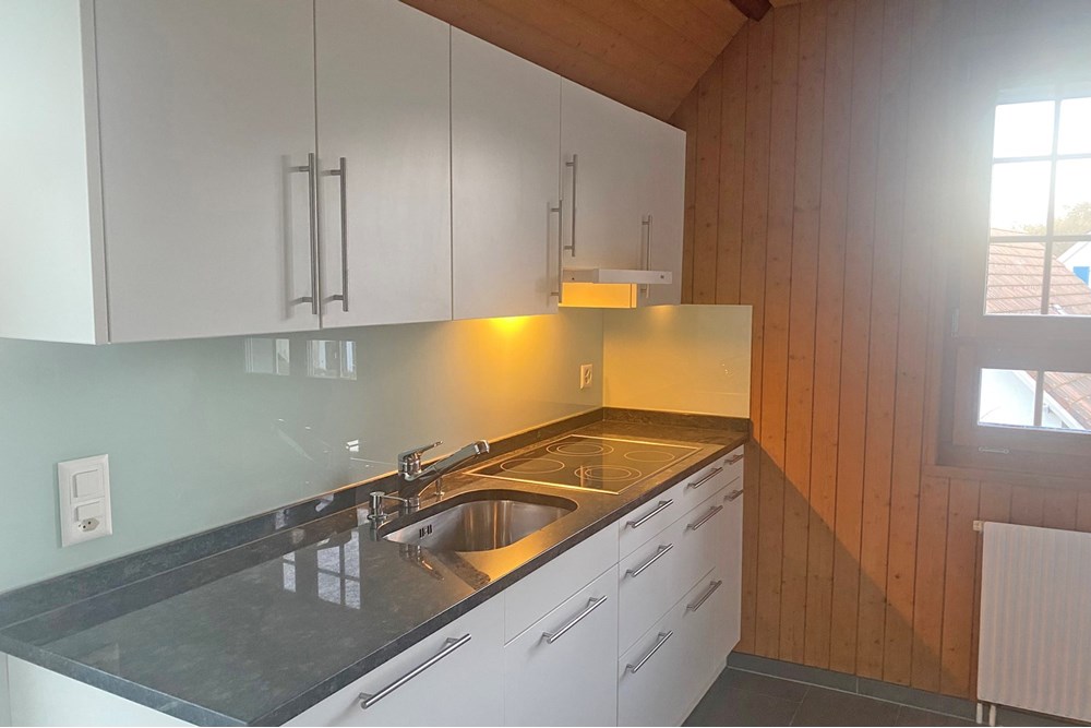 Residential - Condo/Apartment - Fischbach-Göslikon, Aargau - CH - 16.jpg - 118921009-322