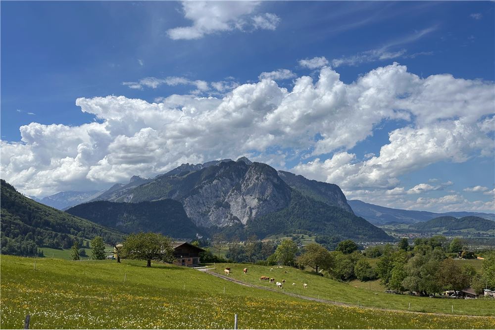 Wohnung - Kauf - Aeschi b. Spiez, Bern - 9 - 119121019-437