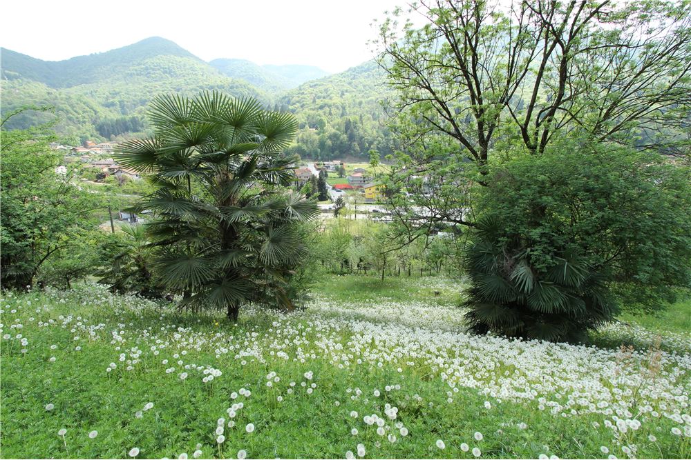 Residencial - Terreno Edificable - Ponte Cremenaga, Tessin - CH - 30 - 119001001-2879