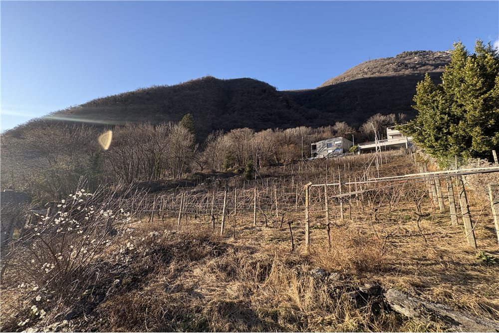 Wohnung - Kauf - Lumino, Tessin - 11 - 119001001-2846