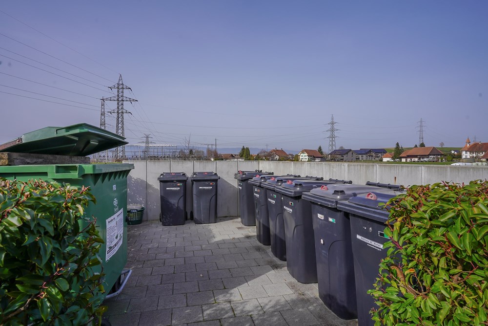 Wohnung - Kauf - Galmiz, Freiburg - DSC06460.jpg - 119621006-330