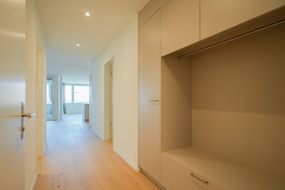 Wohnung - Vermietung - Kaisten, Aargau - kaisten-bruel-wohnung-aussen-zumieten-remaxfrick (4 von 26).jpg - 110091005-1539