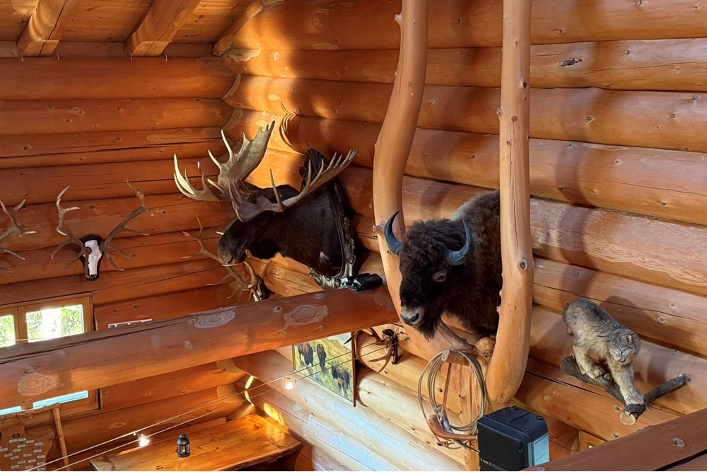 Atypisch / Aussergewöhnlich - Kauf - Schwarzenegg, Bern - IMG_4905.JPEG - 119471022-56