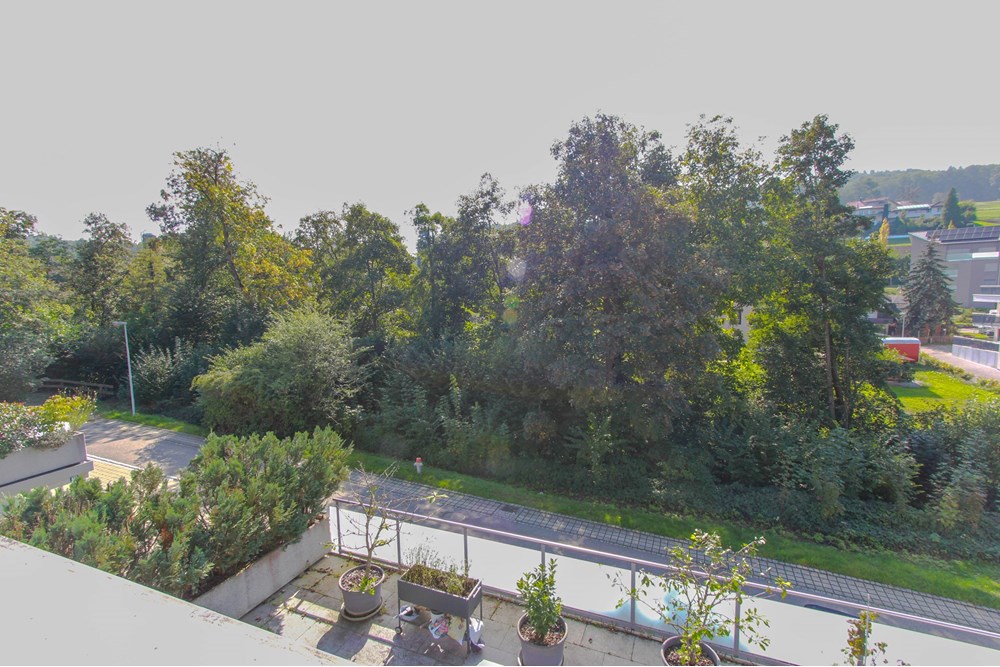 Wohnung - Kauf - Hilfikon, Aargau - IMG_8213.jpg - 118921007-219