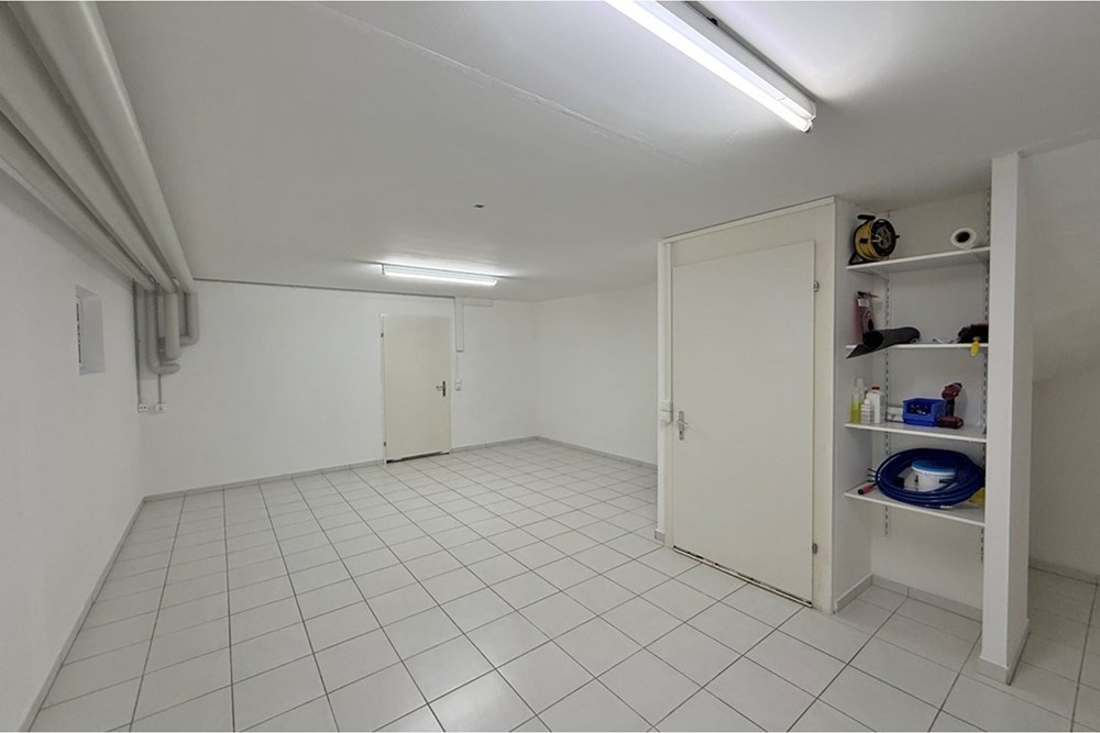 Einfamilienhaus - Vermietung - Bremgarten AG, Aargau - ERLEN08-15.jpg - 118921009-367