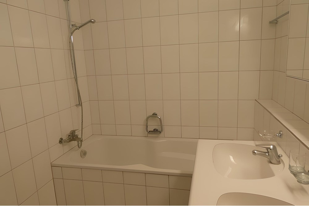 Residential - Maisonette - Dättwil, Aargau - CH - Lingam-5.1.jpg - 118921009-354