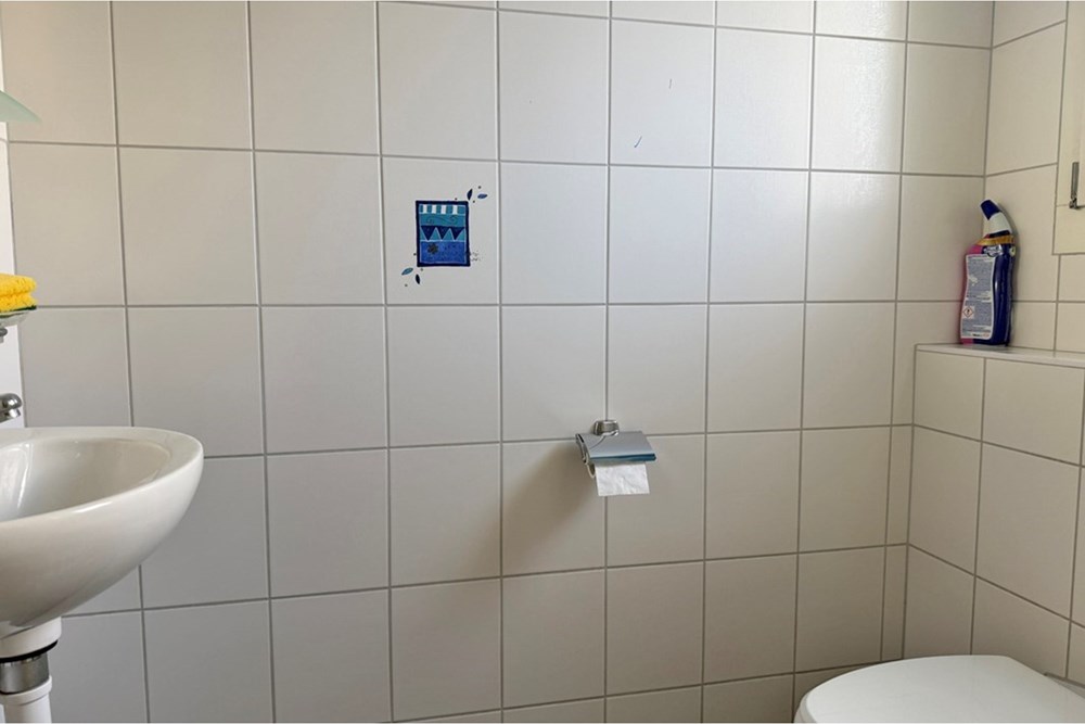 Einfamilienhaus - Vermietung - Bremgarten AG, Aargau - ERLEN08-8.jpg - 118921009-367