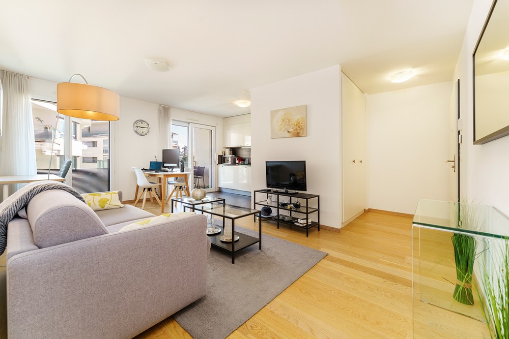 Wohnung - Kauf - Vevey, Waadt - Salon 1.jpg - 119791001-324