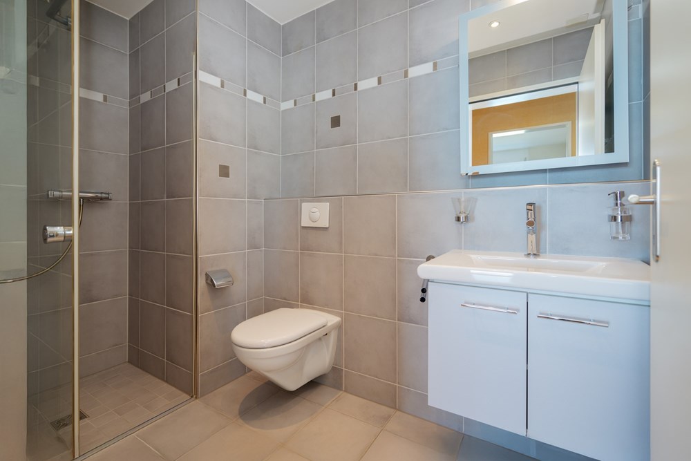 Wohnung - Kauf - Wilen b. Wollerau, Schwyz - DSC05427.jpg - 119271026-25