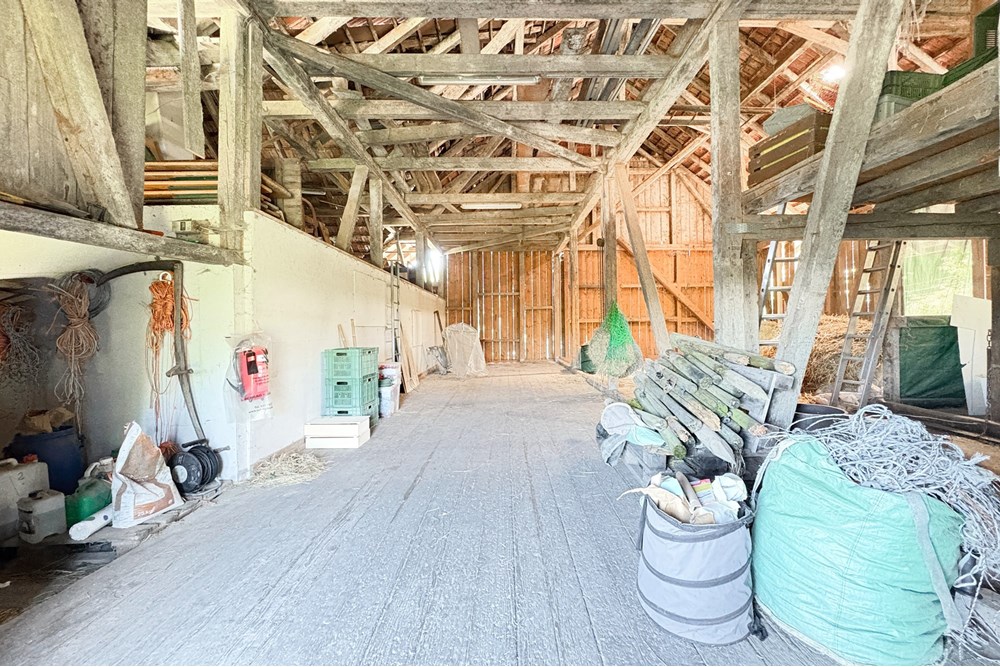 Bauernhof - Kauf - Belp, Bern - Oberaar-28.jpg - 119241015-253