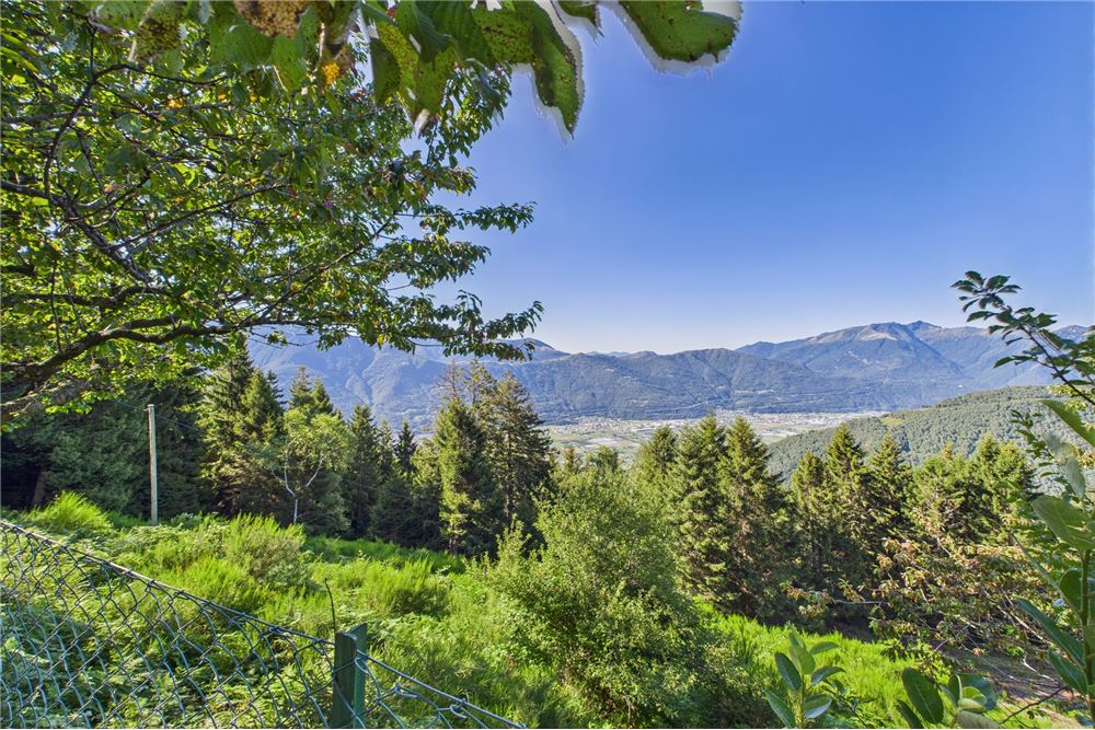 Wohnung - Hütte - Mte.Carasso, Tessin - CH - 31 - 119001091-55