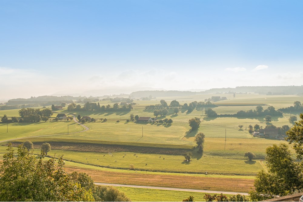 Surface commerciale - Bureau - Romont FR, Freiburg - CH - Romont_Web-44.jpg - 119791001-319