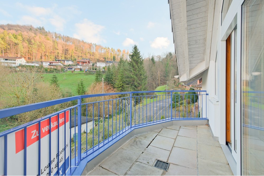 Einfamilienhaus - Kauf - Schwaderloch, Aargau - DSCF7695.jpg - 115360003-544