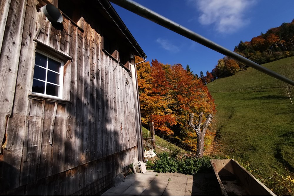 Chalet - Kauf - Dicken bei Degersheim, St. Gallen - IMG_20251018_142458.jpg - 119901001-78