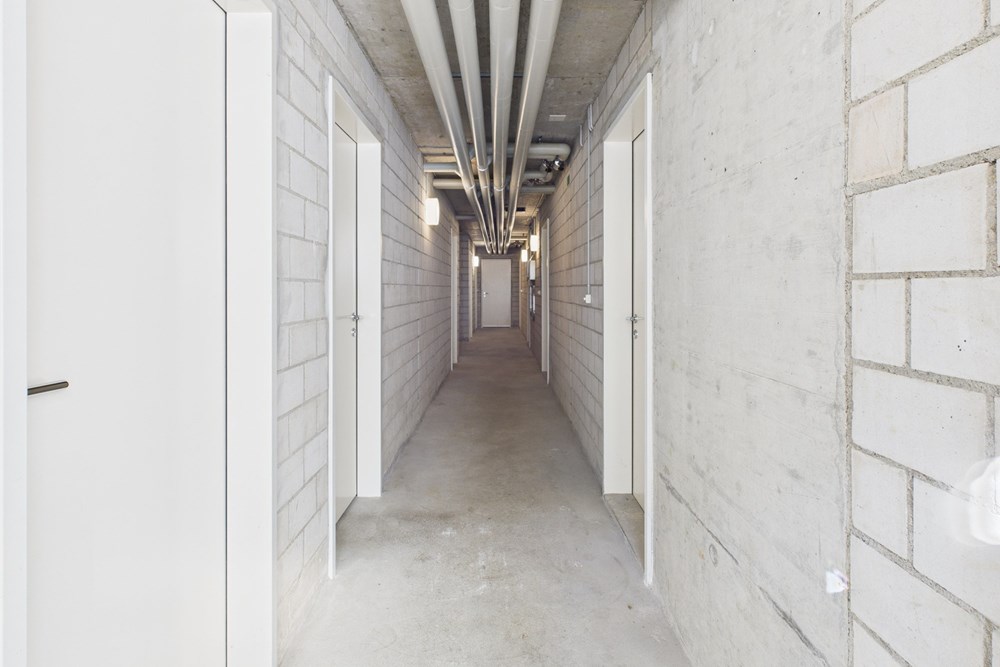 Wohnung - Kauf - Liestal, Basel-Landschaft - CAM05528G0-PR0008-STILL035.jpg - 110031038-7