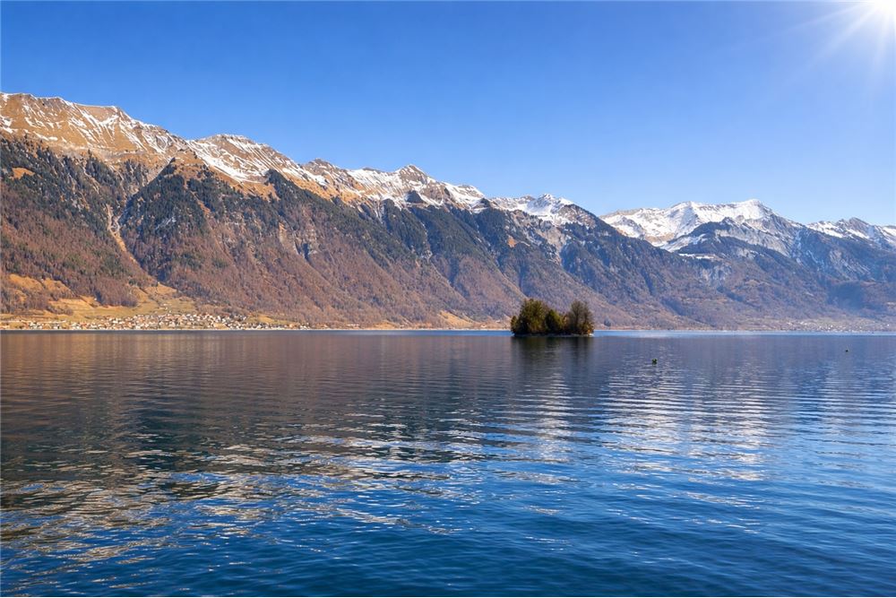 Wohnung - Kauf - Iseltwald, Bern - 1 - 119121019-428