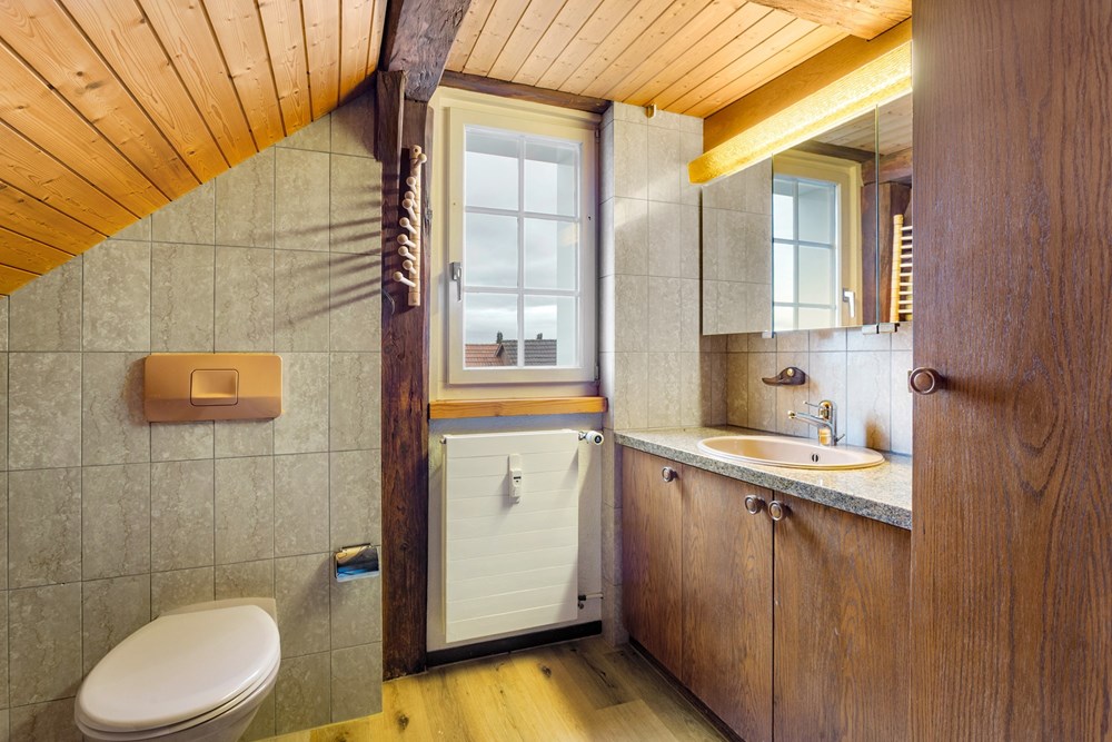 Mehrfamilienhaus - Kauf - Berg SG, St. Gallen - HausBergSG27.jpg - 119191018-220