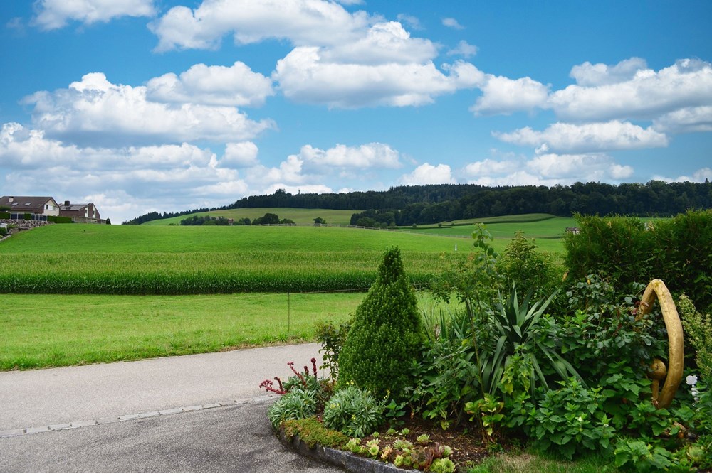 Einfamilienhaus - Kauf - Buttisholz, Luzern - Einfahrt.jpg - 111181001-19