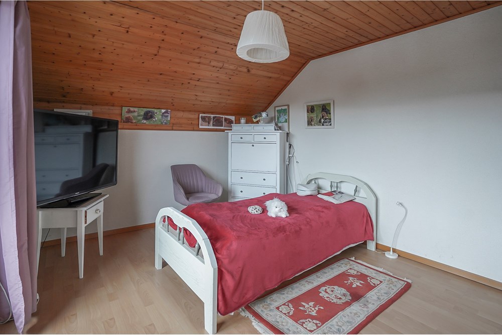 Einfamilienhaus - Kauf - Zollikofen, Bern - DSC06080.jpg - 119621006-323