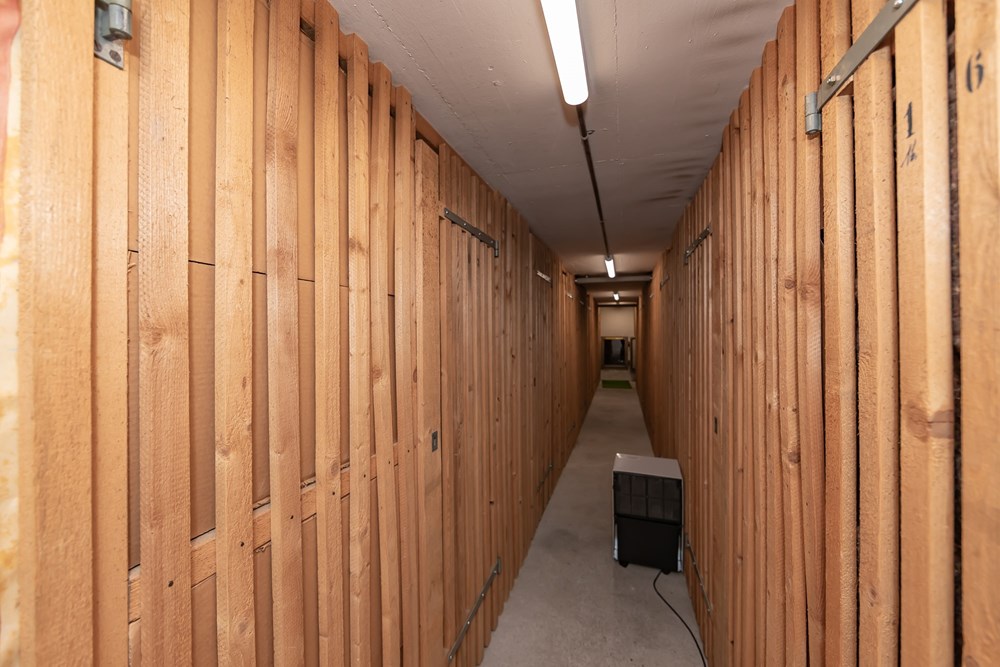Wohnung - Kauf - Engelberg, Obwalden - IMG_2535.jpg - 110250005-425