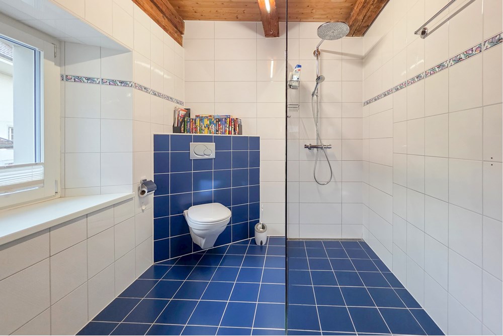 Einfamilienhaus - Kauf - Schinznach Dorf, Aargau - 20251029_154408.JPG - 119241016-289