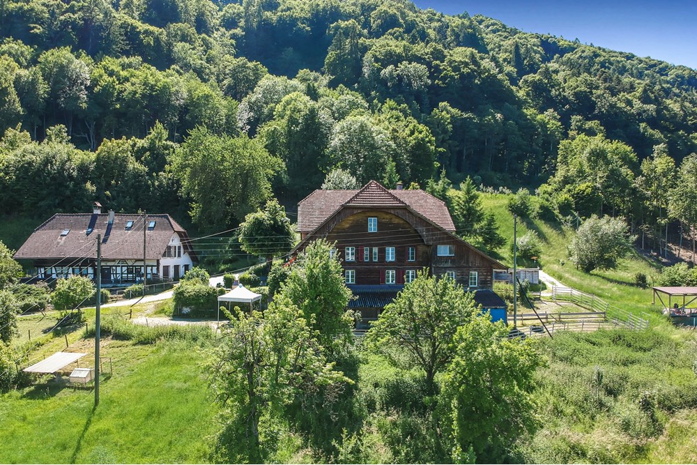Bauernhof - Kauf - Belp, Bern - Oberaar-35.jpg - 119241015-253
