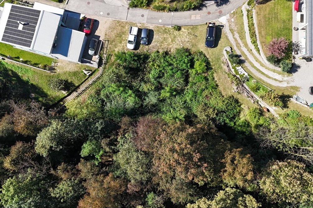 Einfamilienhaus - Kauf - Rovio, Tessin - Progetto senza titolo-4corr.jpg - 119001097-27