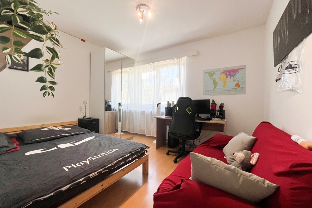 Mehrfamilienhaus - Kauf - Losone, Tessin - IMG_4012_.jpeg - 118461080-50