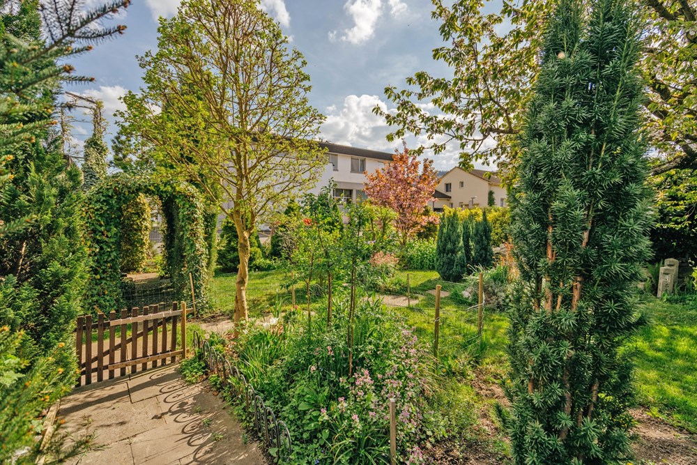 Mehrfamilienhaus - Kauf - Dintikon, Aargau - LANGE57-57.jpg - 118921009-381
