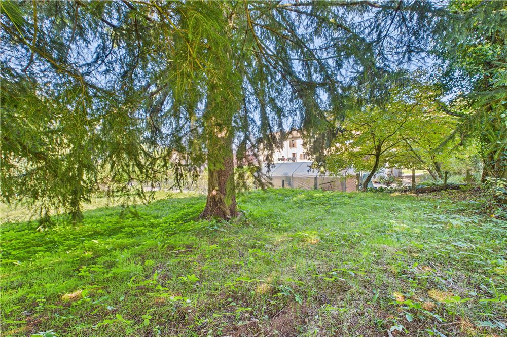 Prédio Habitacional - Terreno - Castelrotto, Tessin - CH - 43 - 119001091-58