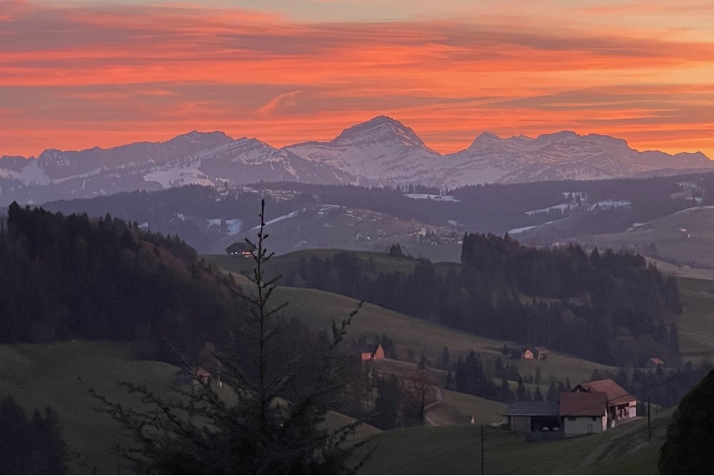 Chalet - Kauf - Dicken bei Degersheim, St. Gallen - IMG_1582.JPG - 119901001-78