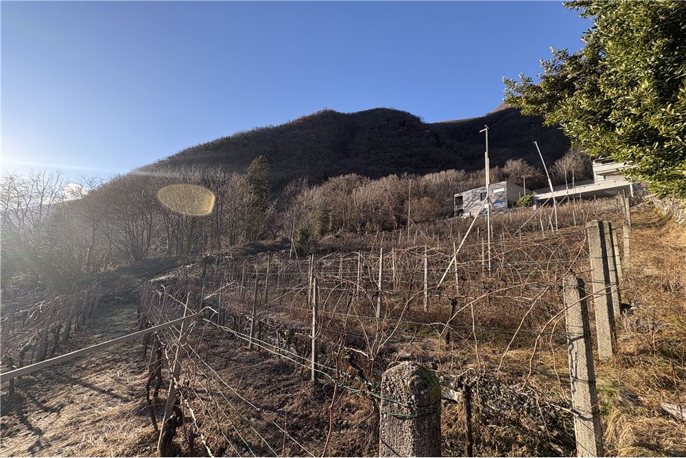 Wohnung - Kauf - Lumino, Tessin - 9 - 119001001-2840