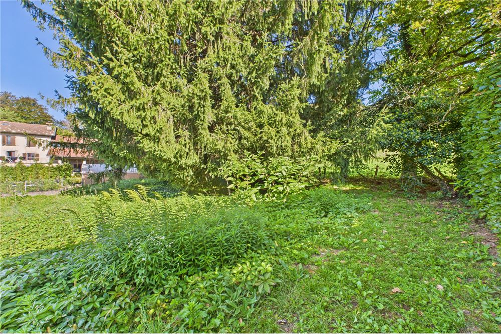 Prédio Habitacional - Terreno - Castelrotto, Tessin - CH - 46 - 119001091-58