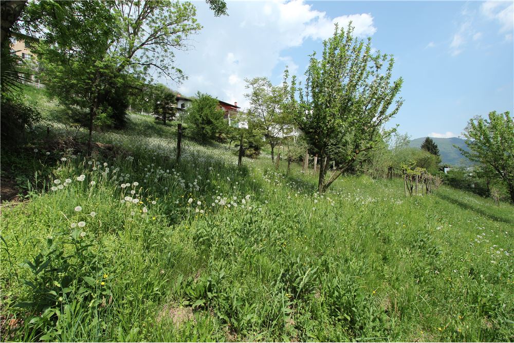 Residencial - Terreno Edificable - Ponte Cremenaga, Tessin - CH - 37 - 119001001-2879