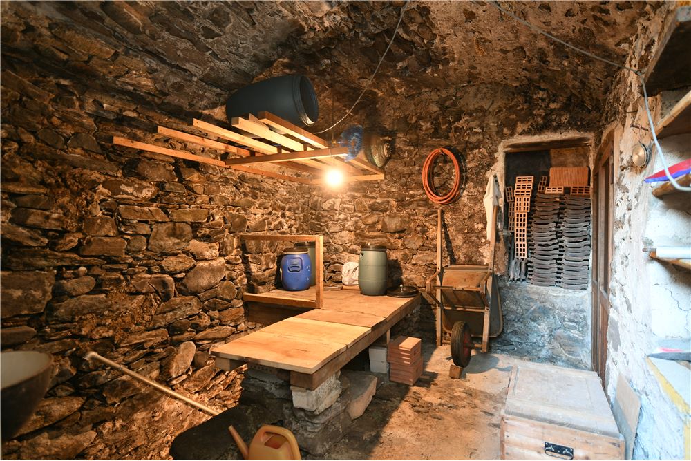 Mehrfamilienhaus - Kauf - Gordola, Tessin - Keller / cantina - 118461080-53