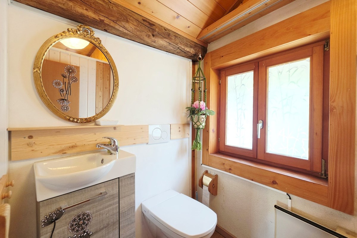 Einfamilienhaus - Kauf - Leuk Stadt, Wallis - EFH Leuk-Stadt_Tages WC_DG.jpg - Gäste-WC - 119101007-743