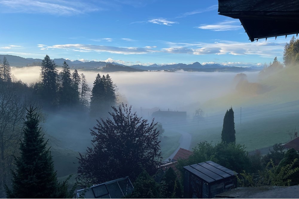 Chalet - Kauf - Dicken bei Degersheim, St. Gallen - IMG_0331.JPG - 119901001-78