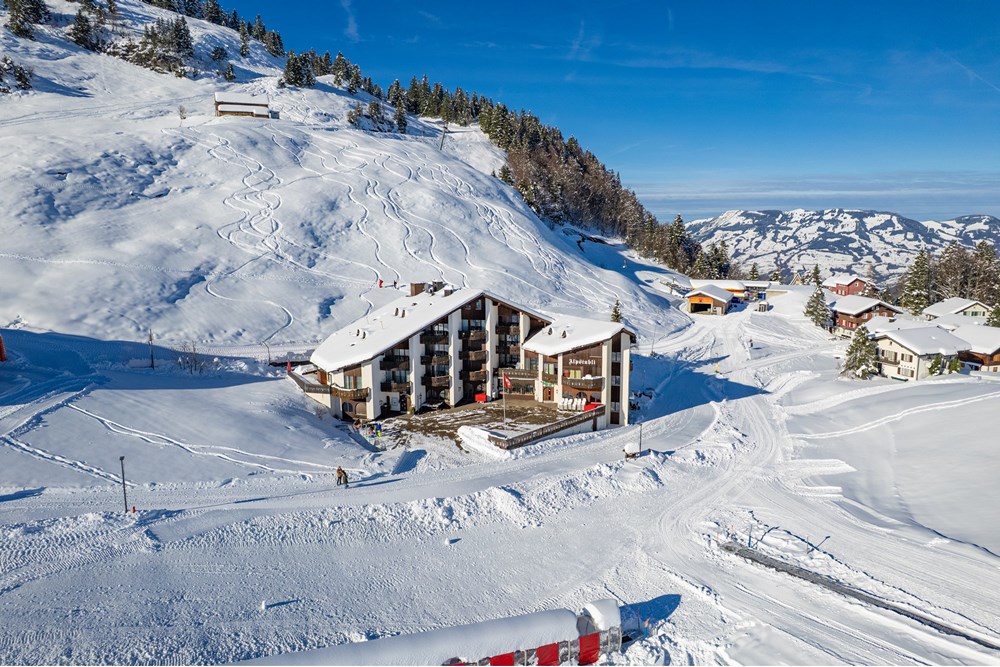Ferienwohnung - Kauf - Stoos, Schwyz - DJI_0757.jpg - 119871001-147