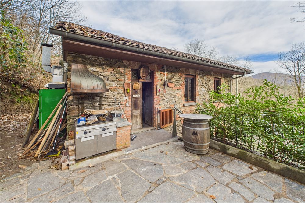 Comercial - Comercio/Tienda - Monteggio, Tessin - CH - 15 - 119001050-305