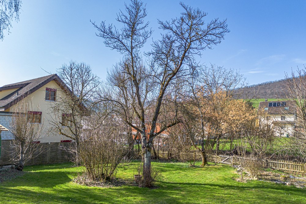 Einfamilienhaus - Kauf - Erlinsbach, Aargau - GARTEN~3.JPG - 115360019-164