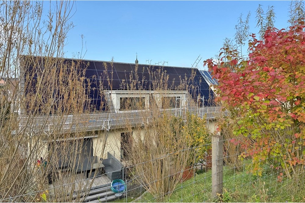 Wohnung - Wohnung - Jonen, Aargau - CH - IMG_2555.jpg - 118921009-361