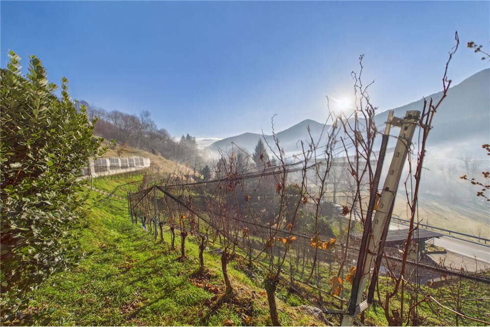 Prédio Habitacional - Casa - Ponte Cremenaga, Tessin - CH - 43 - 119001050-308