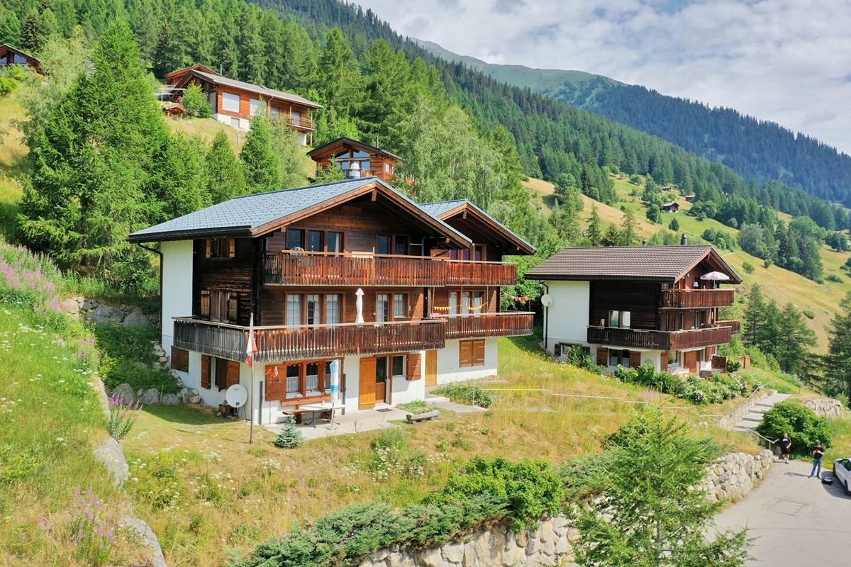 Wohnung - Kauf - Blitzingen, Wallis - DJI_0880.JPG - 110400033-16