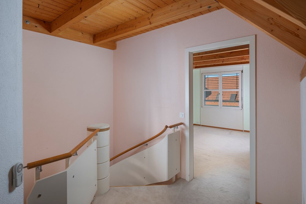 Maisonette - Kauf - Zürich, Zürich - 004 - Im Tiergarten 45, 8055 Zürich (Daniel Blake Fotografie).jpg - 111281001-47