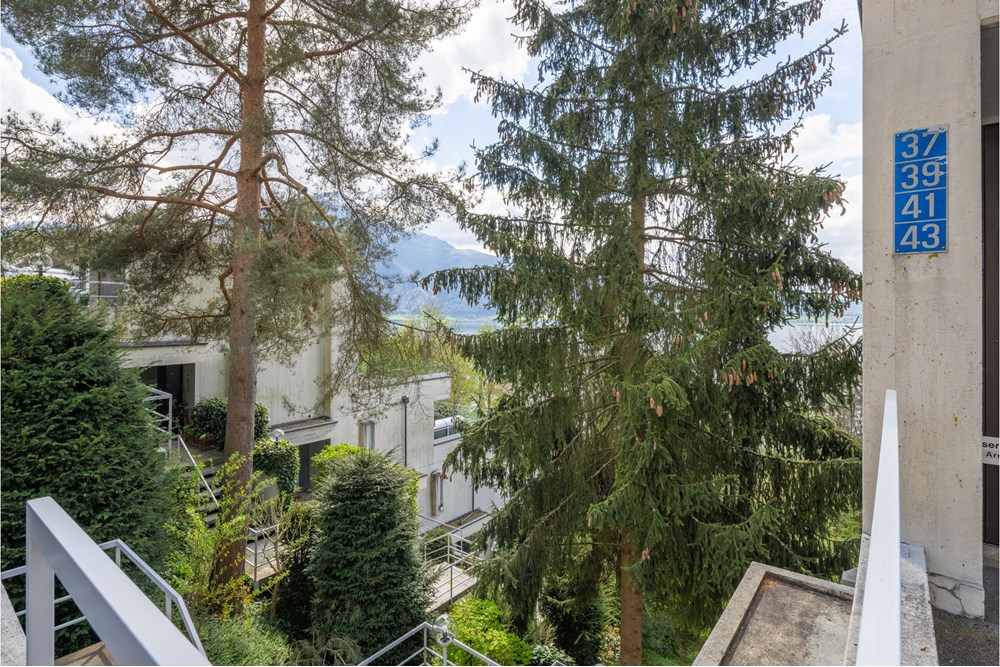 Wohnung - Kauf - Walchwil, Zug - Web_Sagenstrasse 41, 6318 Walchwil_1_klein.jpg - 119961001-159