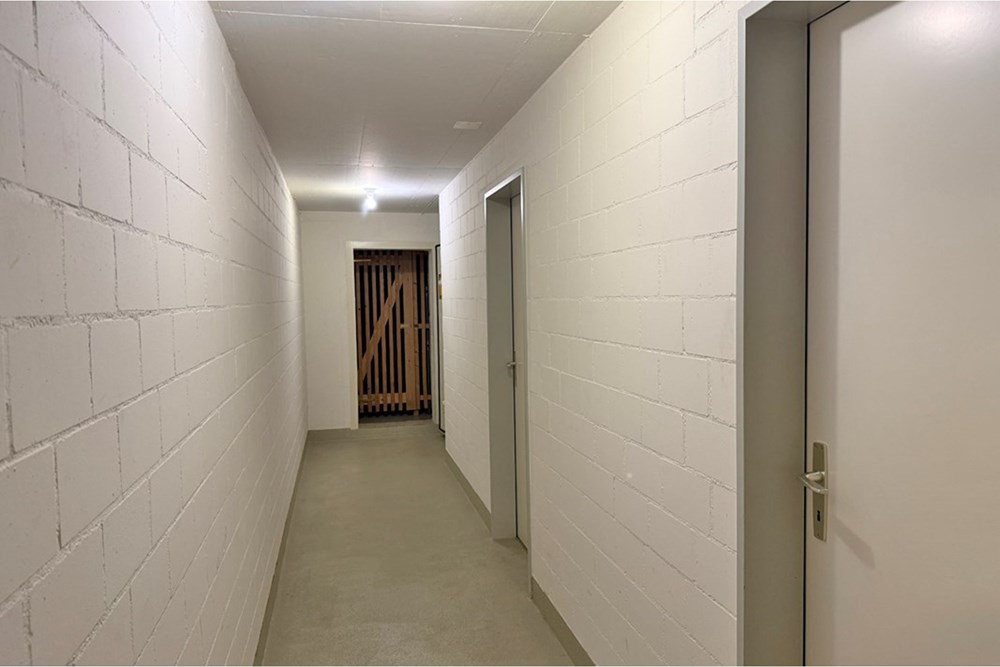 Wohnung - Kauf - Unterlunkhofen, Aargau - ROTTE04-zum Schluss alle-8.jpg - 118921009-372