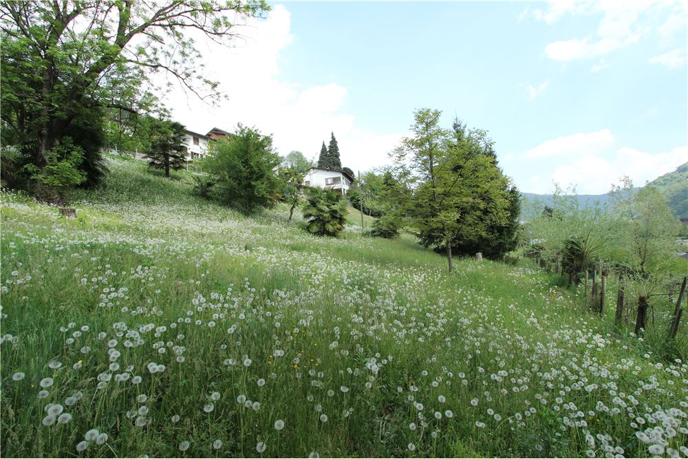 Residencial - Terreno Edificable - Ponte Cremenaga, Tessin - CH - 23 - 119001001-2879